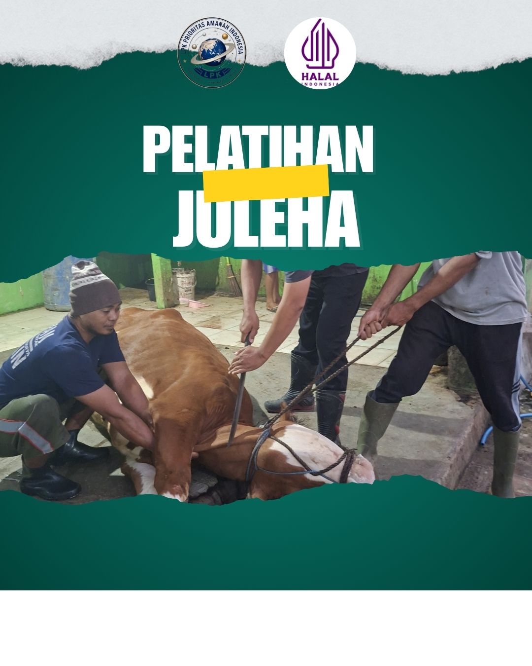gambar web laman juleha